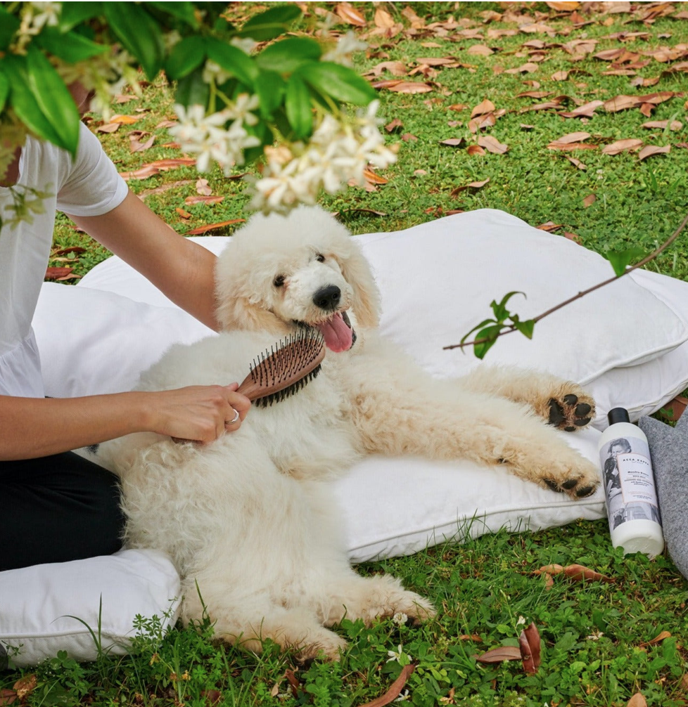 ACCA KAPPA  - PET COLLECTION  - Dárková sada