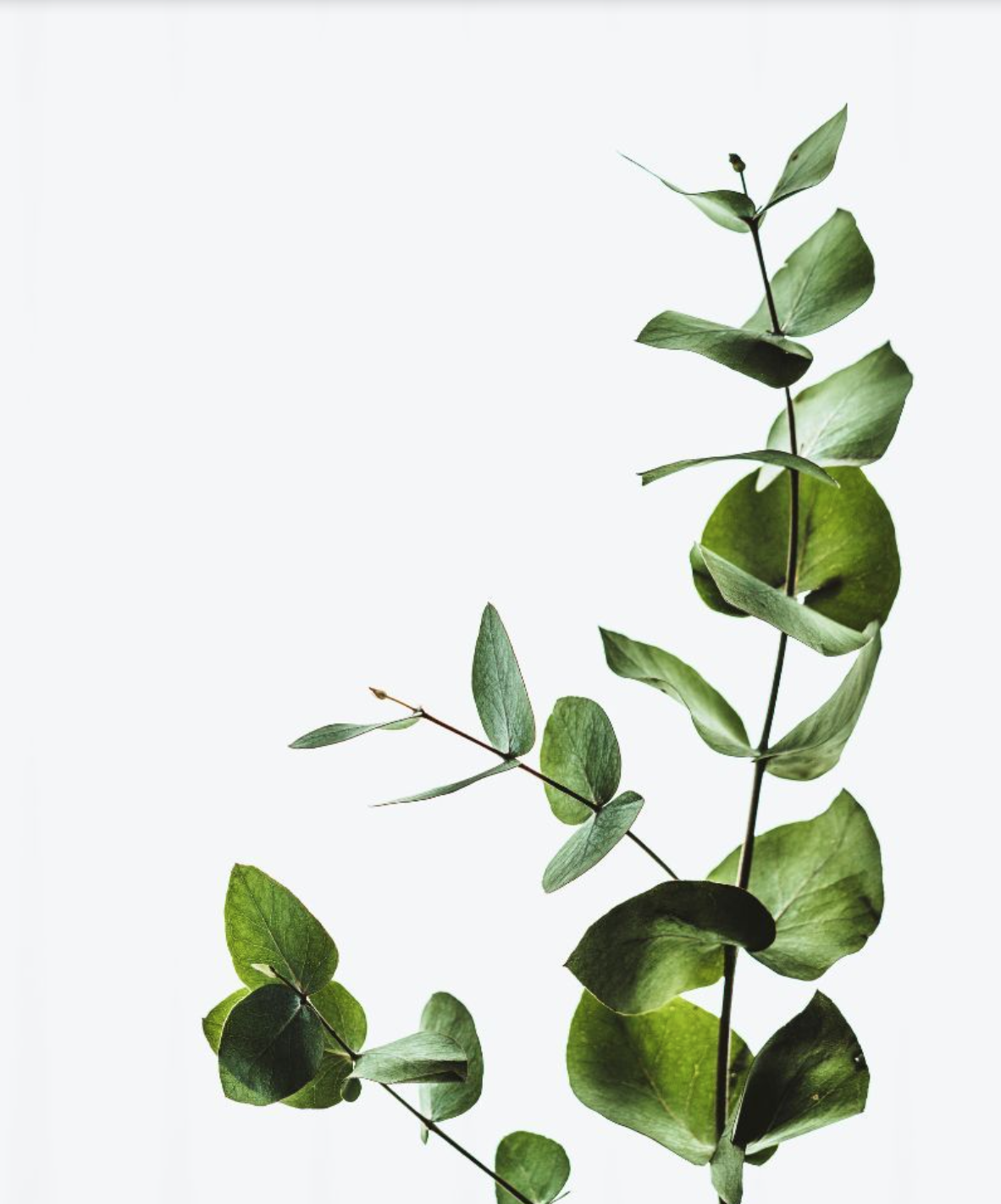 ACCA KAPPA - SFARIA - Krém na ruce 75 ml