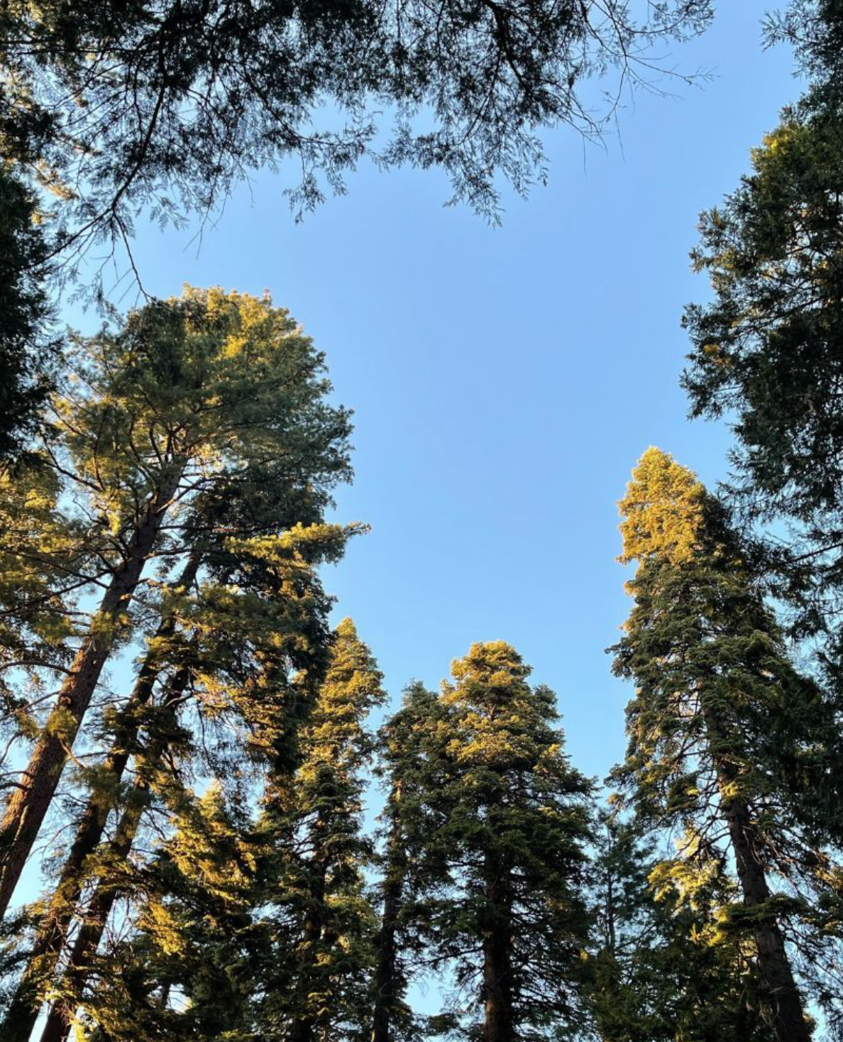 ACCA KAPPA - Sfaria - Parfém 100 ml